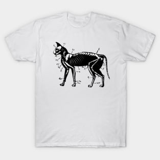 Cat Skeleton Anatomy T-Shirt